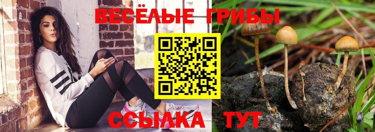 Фролово  Галлюциногенные грибы Psilocybe  Галлюциногенные грибы ЛСД  Вход с VPN 