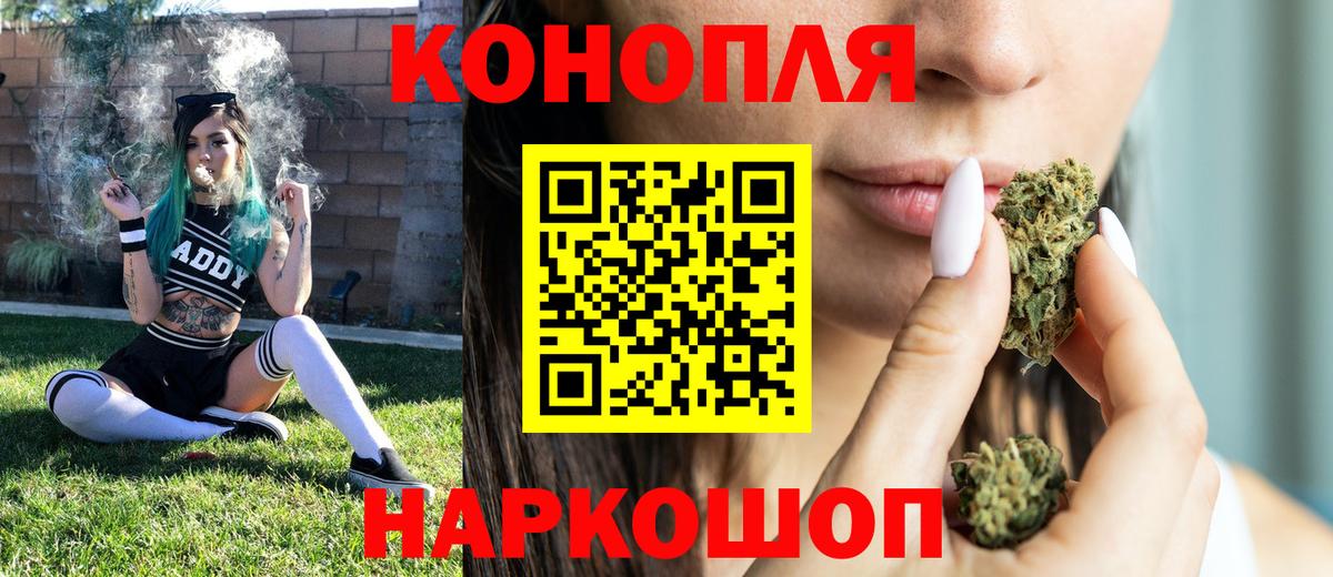 Бошки Шишки план Фролово